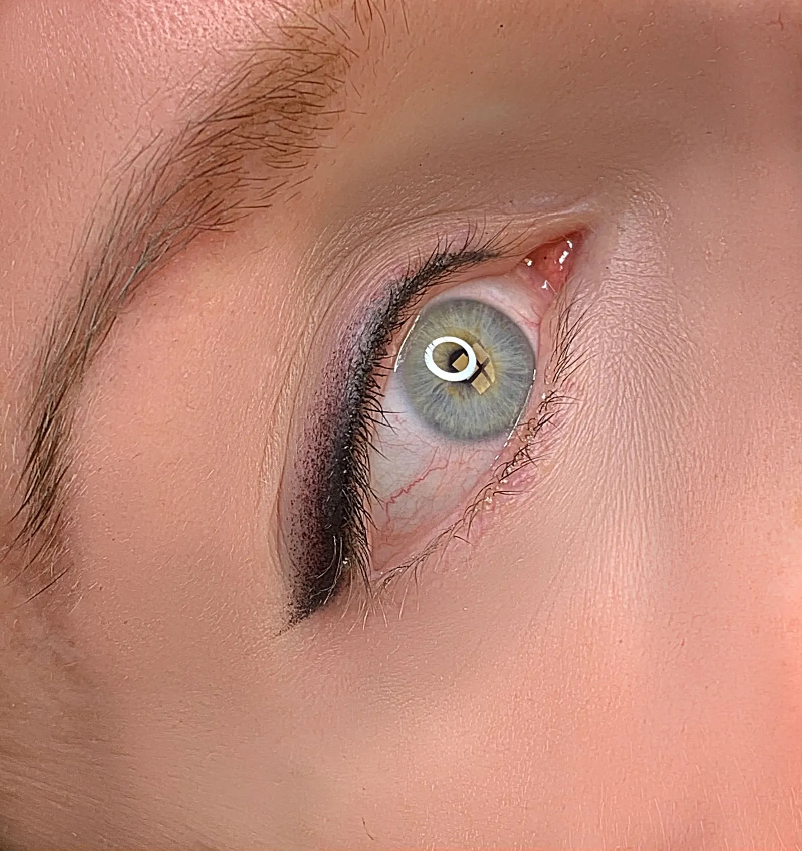 Auge mit pigmentiertem Lidstrich am oberen Wimpernkranz.